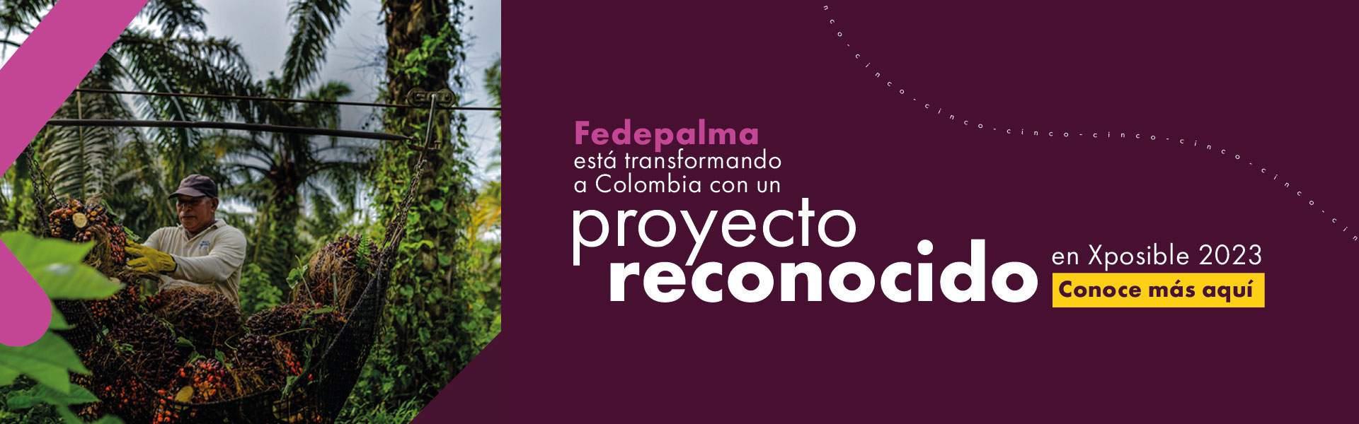 Proyecto Fedepalma, reconocido por Xposible