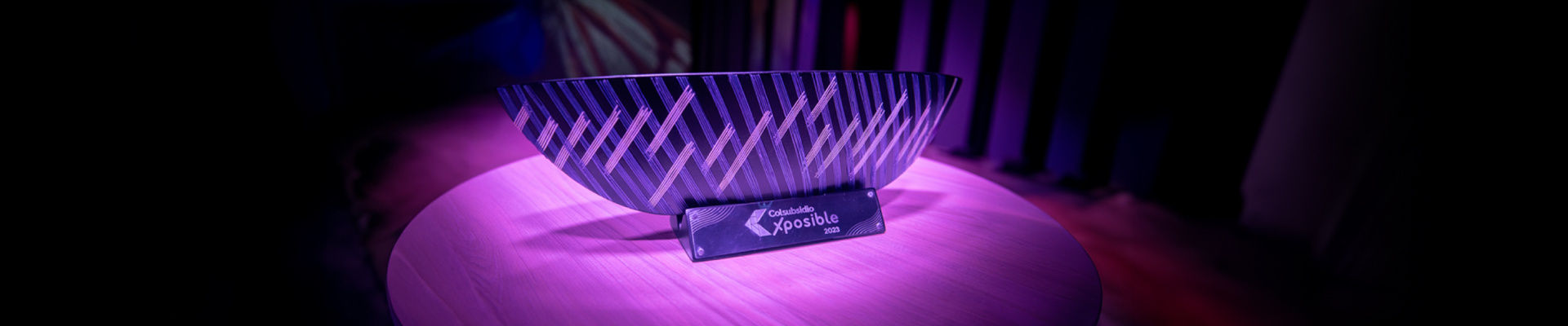 Premio al reconocimiento Xposible.