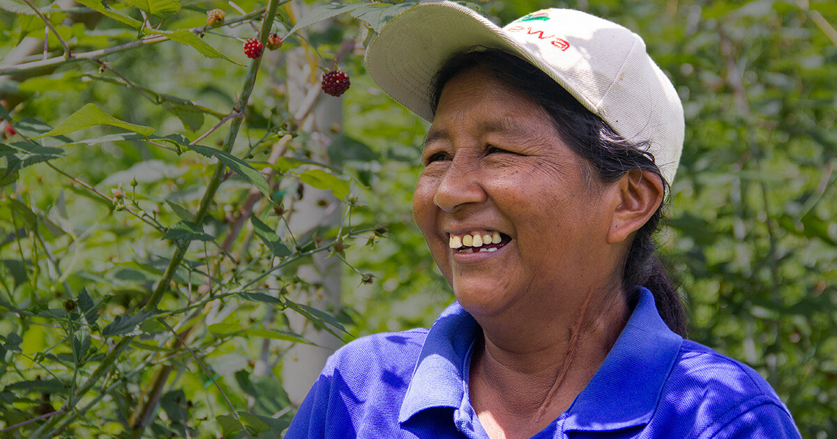 kwexs-kiwe-ewa-lo-mejor-de-nuestra-tierra