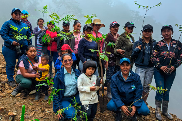 syngenta ecoaguas